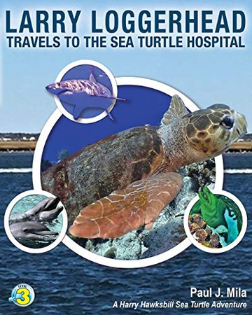 Larry Loggerhead Travels to the Sea Turtle Hospital