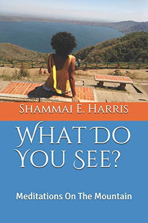 What Do You See: Meditations On The Mountain (Book)