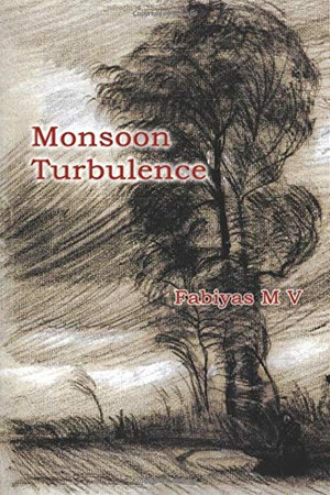 Monsoon Turbulence