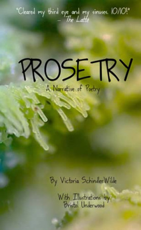 Prosetry: A Narrative Of Poetry