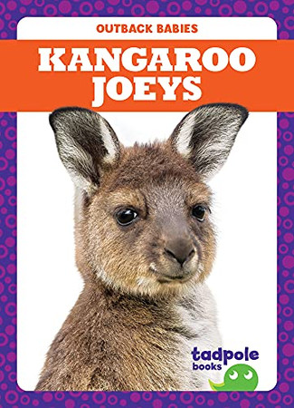 Kangaroo Joeys (Outback Babies)