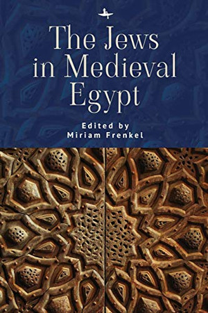 The Jews In Medieval Egypt (The Lands And Ages Of The Jewish People) - Paperback