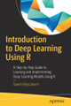 Introduction To Deep Learning Using R: A Step-By-Step Guide To Learning ...