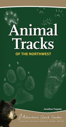 Animal Tracks of California