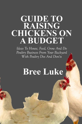 Guide To Raising Chickens On A Budget Ideas To House Feed Grow And guide-to-raising-chickens-on-a-budget-ideas-to-house-feed-grow-and