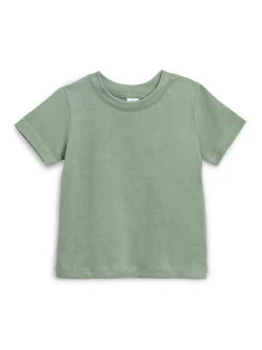 Short Sleeve Tee | Thyme | Colored Organics