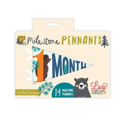 Little Camper Petit Milestone Pennants | Lucy Darling