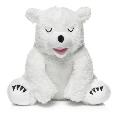 Little Bear Snowy | Lucy Darling