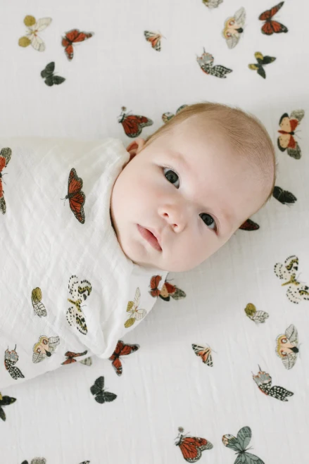  Butterfly Migration Crib Sheet | Clementine Kids