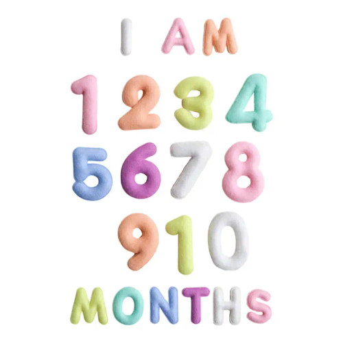 Milestone Felt Numbers in Pastel | Lucy Darling