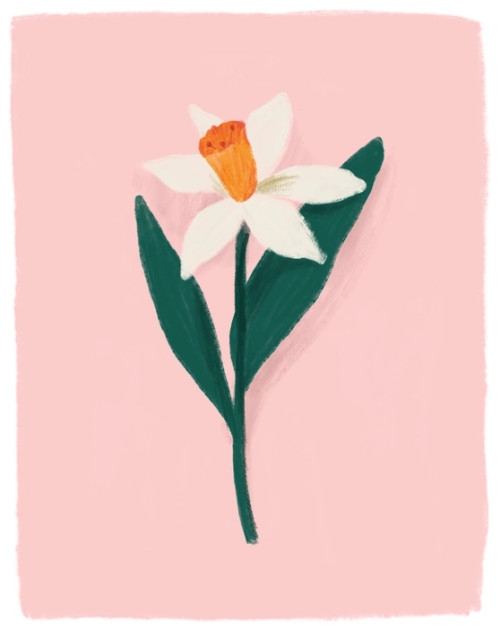 Daffodil Art | Clementine Kids