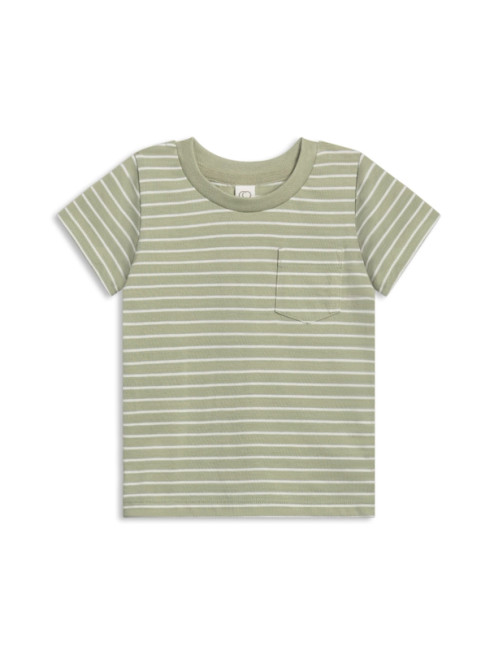 Everest Tee | Davis Stripe / Mint | Colored Organics