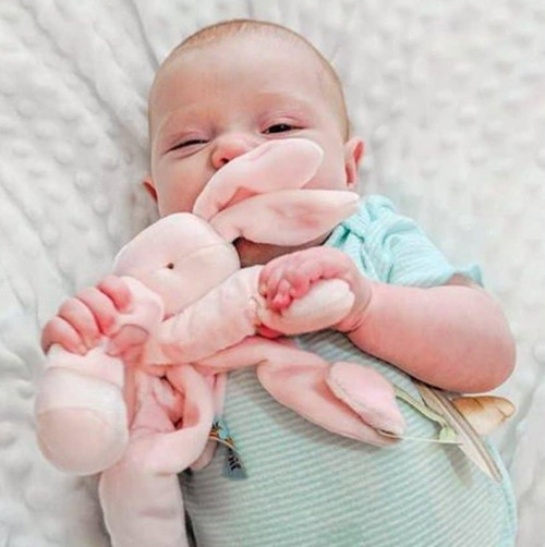 This Blossom Bunny Silly Buddy is brand new and makes a thoughtful gift for baby showers or any special occasion.