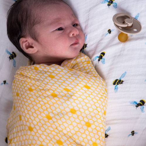 Organic Swaddle | Hive | Malabar Baby