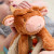  Itzy Lovey Plush and Teether Toy | Wyatt the Highland Cow| Itzy Ritzy