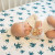 Sea Turtles Oh So Soft Muslin Crib Sheet | Bebe Au Lait