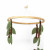 A delightful addition to your nursery decor, this sloth crib mobile is perfect for creating a soothing environment.