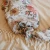 Mini Wander Garden Floral White Swaddle