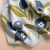 Blueberry Bear Bee Blanket | Organic Cotton | The Blueberry Hill