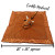 Longhorn Lovey | Yikes Twins