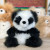 Alpaca Stuffed Animal | Panda | Shupaca