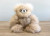  Alpaca Stuffed Bear | Shupaca