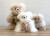 Alpaca Stuffed Animal - Bear | Large 15" | Shupaca