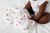 Strawberries - Cotton Muslin Swaddle | Lulujo