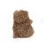 Wee Cubby the Bear | Bunnies by the Bay