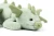 Naydra Sage Dragon Myth is thoughtfully made to be durable, cuddly, and easy to lovem