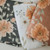 Swaddle Peony Blooms | White | Mini Scout