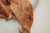 Sundown Muslin Swaddle | Brixton Phoenix