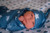 Wrap your little one in the cozy comfort of the Itzy Ritzy Cutie Cocoon™ set from Itzy Ritzy.