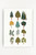 Forest Trees Art Print | Clementine Kids