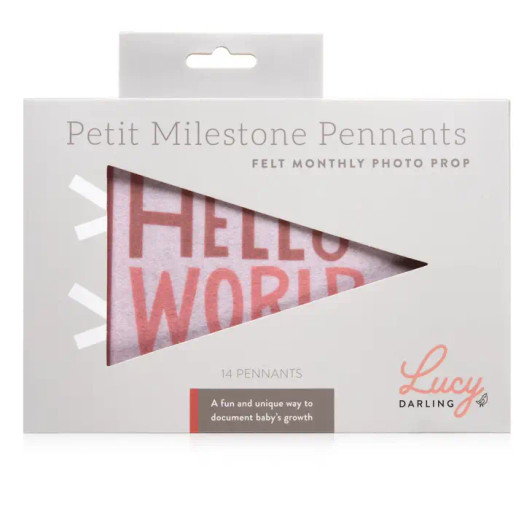 Blushing Meadow Petit Milestone Pennant | Lucy Darling