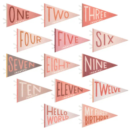 Blushing Meadow Petit Milestone Pennant | Lucy Darling