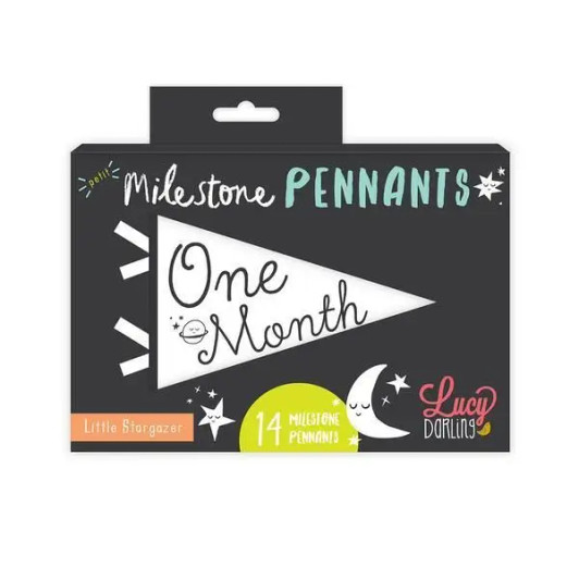 Little Stargazer Petit Milestone Pennant | Lucy Darling