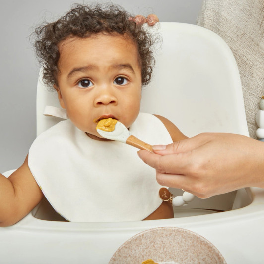 Moonlight Feeding Set + Clip | January Moon