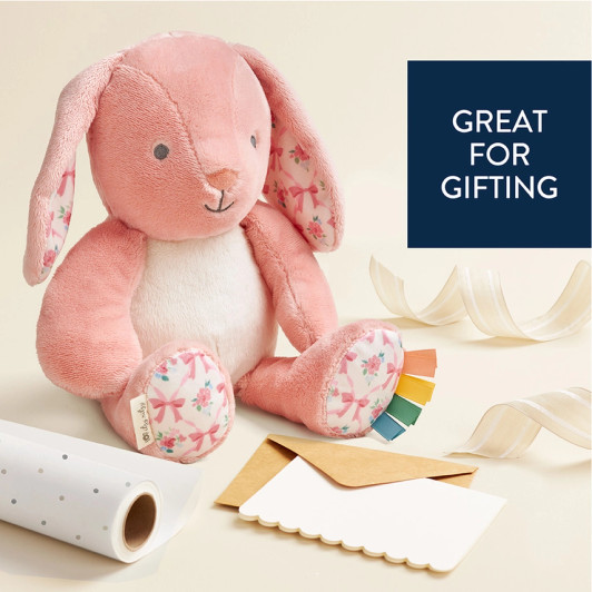 Sweetie Snuggles Plush | Ana the Bunny | Pink | Itzy Ritzy