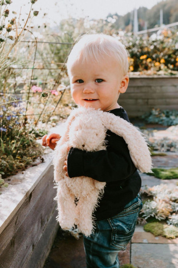 Harey the Bunny Rabbit | Bunnies by the Bay