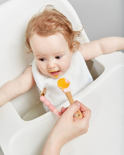 Rose Feeding Set | January Moon