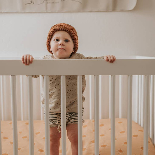 brixton phoenix crib sheet