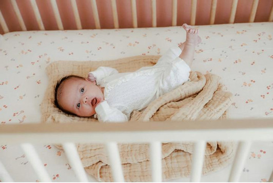 Bloom Crib Sheet | Brixton Phoenix