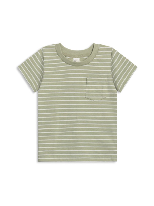 Everest Tee | Davis Stripe / Mint | Colored Organics