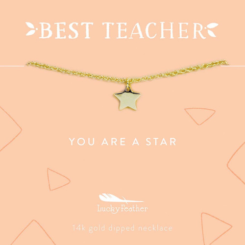 Teacher Necklace - You are a Star Teacher - Gold - Star
