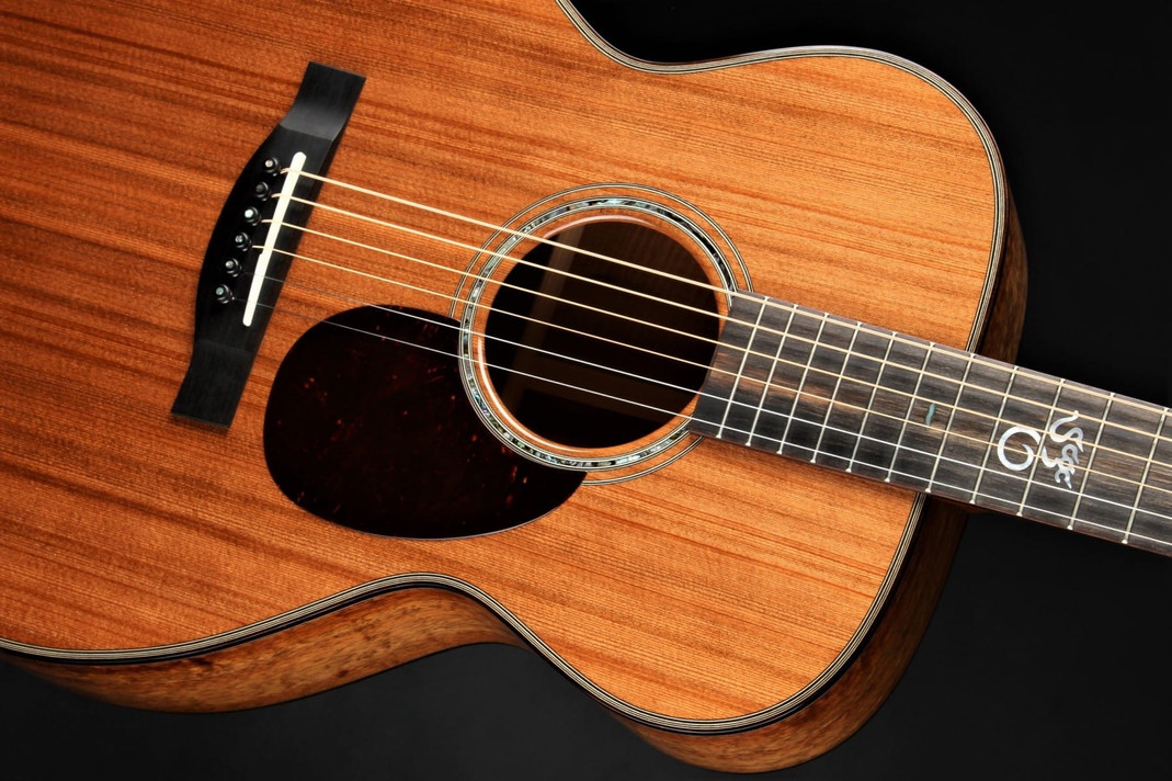 Santa Cruz Excellence in Acoustic Craftsmanship