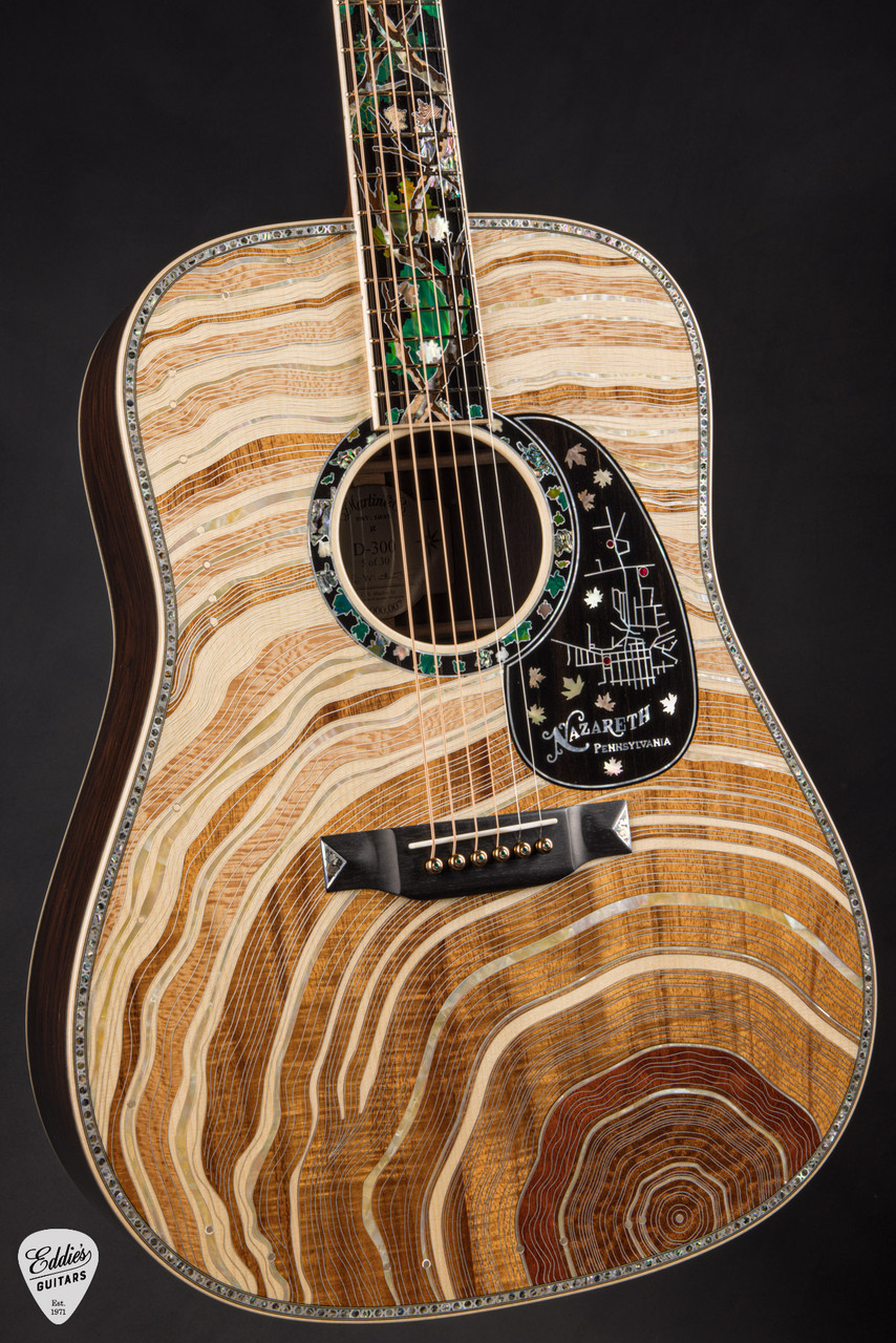 Martin D-300 - Adirondack Spruce & Brazilian Rosewood (SOLD