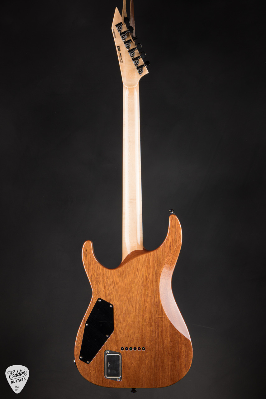 ESP Horizon-II - Dark Purple Sunburst - Eddie's Guitars