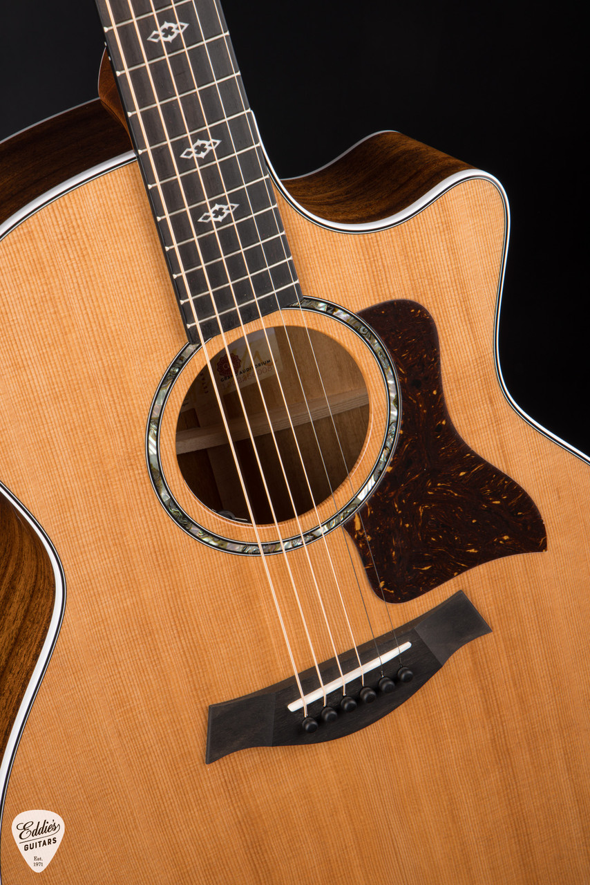Taylor Next Generation 514ce - Cedar & Mahogany #1202256008