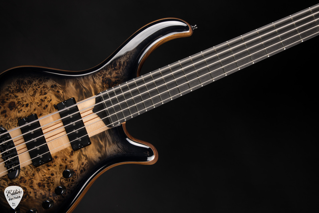 Mayones Patriot 5 - Trans Natural Black Gloss - Eddie's Guitars